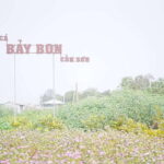 Premium Con Son Islet tour  Explore The Precious Gem - What’s Included and What to Consider