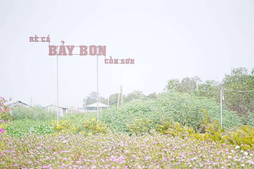 Premium Con Son Islet tour  Explore The Precious Gem - What’s Included and What to Consider