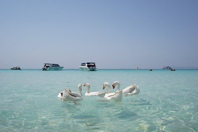 Premium Coral Island Pattaya by Speed boat - Exploring the Experience in Detail