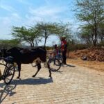Premium Delhi Aravalli Organic Cycle Tour - A glimpse of Real and Rural India - What to Expect & Practical Details