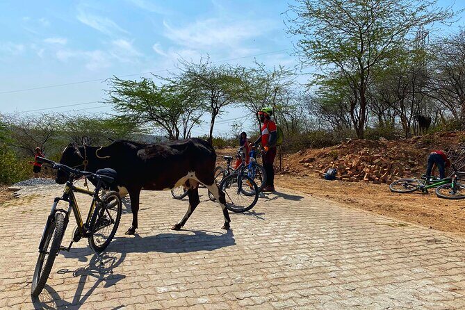 Premium Delhi Aravalli Organic Cycle Tour - A glimpse of Real and Rural India - What to Expect & Practical Details