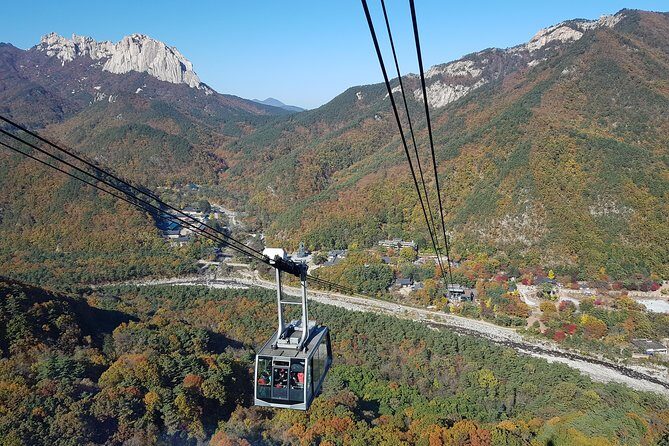 [Premium Private Tour] Mt Seorak & East Sea or Nami island from Seoul - Potential Drawbacks or Considerations