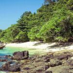 Premium Tour to Phi Phi & Bamboo Island Tours by Speed boat - Practicalities and What to Expect