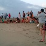 Preserving Baby Sea Turtles And Filling You With Energy In Bioluminescent Lights - In-Depth Look at the Tour Experience