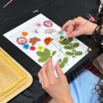 Pressed Flower Art Workshop - An In-Depth Look at the Pressed Flower Art Workshop