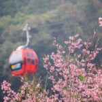 Private 1 Day Sun Moon Lake Escape Tour from Taipei - Who Should Consider This Tour?