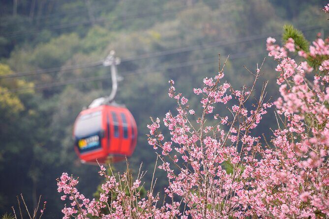 Private 1 Day Sun Moon Lake Escape Tour from Taipei - Who Should Consider This Tour?