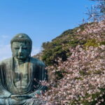Private 1 Day Tour to Kamakura: Sea, Temples, and Coastal Scenery - Who Is This Tour Best For?