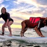 Private 1-on-1 Surf Lesson with Videos and Photos - How the Itinerary Unfolds