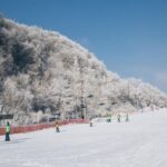 Private 1:1 Ski Lesson near Seoul, South Korea - The Practical Benefits of This Ski Lesson