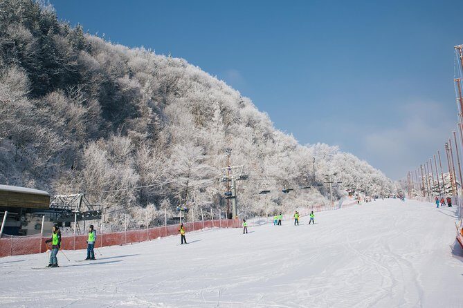 Private 1:1 Ski Lesson near Seoul, South Korea - The Practical Benefits of This Ski Lesson