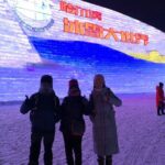 Private 2 Day Harbin Ice and Snow Festival Tour with Entry ticket - Who Should Consider This Tour?