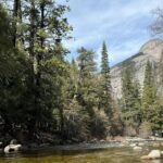 Private 2 Days Tour to Yosemite National Park - A Deep Dive into the Yosemite Private Tour Experience