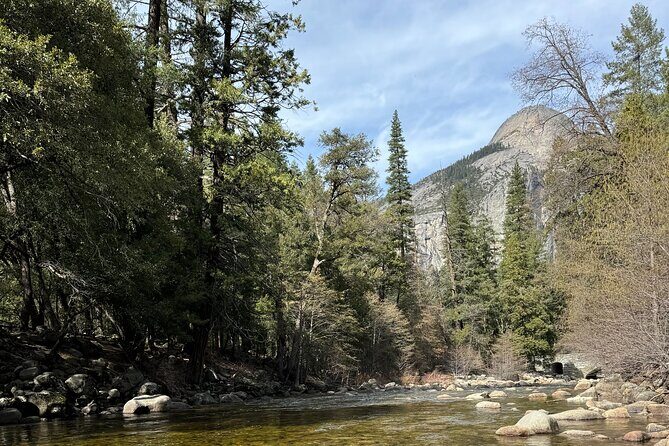Private 2 Days Tour to Yosemite National Park - A Deep Dive into the Yosemite Private Tour Experience