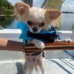 Private 2-Hour Day Sailing Experience - What’s Included & What to Expect