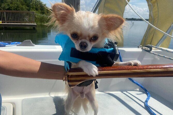 Private 2-Hour Day Sailing Experience - What’s Included & What to Expect