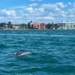 Private 2-Hour Dolphin Watching Cruise in St. Petersburg, FL - How This Tour Compares to Similar Experiences