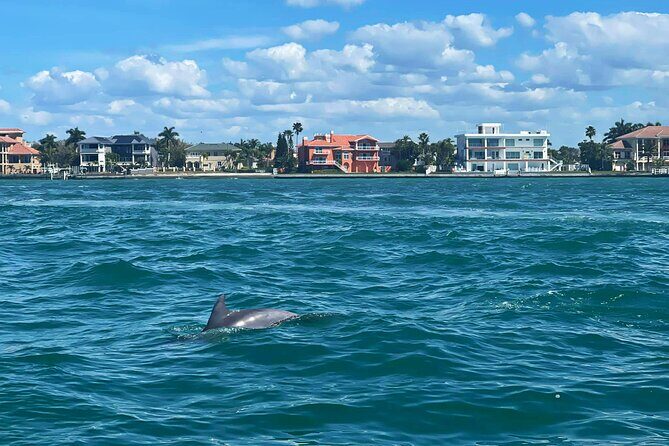 Private 2-Hour Dolphin Watching Cruise in St. Petersburg, FL - How This Tour Compares to Similar Experiences