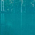 Private 2Hour Clear Kayak/ROC Paddle Board Rental on Silver River - The Experience: What to Expect