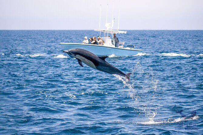Private 2hr Supreme Whale/Dolphin Watching Tour, Newport Beach CA - Final Thoughts
