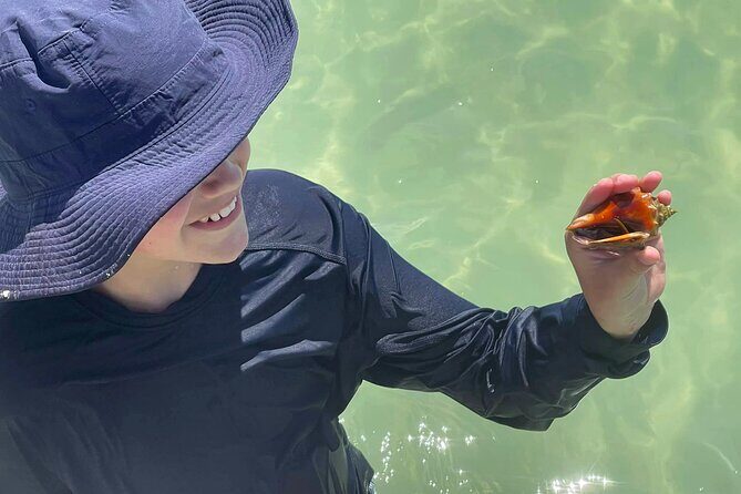 Private 3-Hour Eco Tour with Island Hopping in St. Petersburg, FL - The Itinerary Breakdown