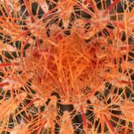 Private-36 Hour Adventure in Joshua Tree National Park - A Deep Dive into the Experience