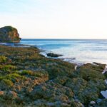 Private 4-Day Central & Southern Taiwan Tour (Sun Moon Lake, Kaohsiung, Kenting) - What Travelers Say & Why It Matters