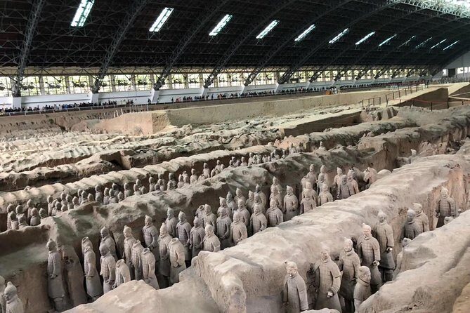 Private 4-Day Tour: Beijing, Xi'an, Chengdu & Shanghai - What We Like & What to Consider