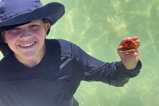 Private 4-Hour Beach Tour St. Petersburg, FL - The Sum Up