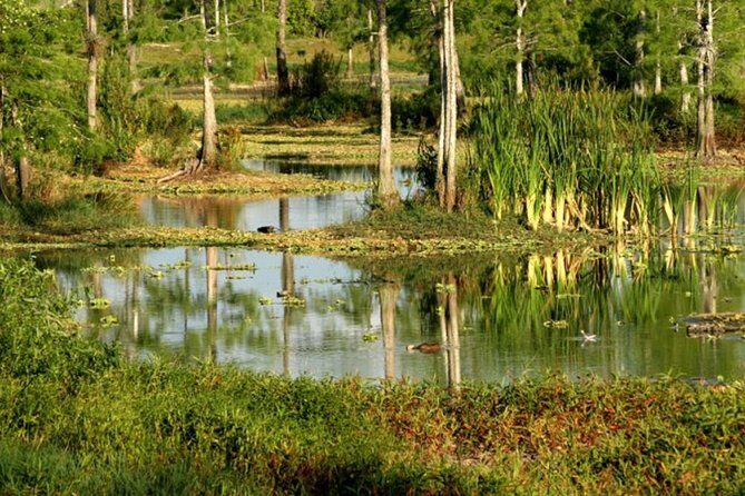 Private 4 Hour Everglades Tour Experience in the Wilderness - Who Should Consider This Tour?