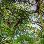 Private 4 hour Hiking Adventure + Breakfast in Nogalito Ecopark - Who Should Consider This Tour?