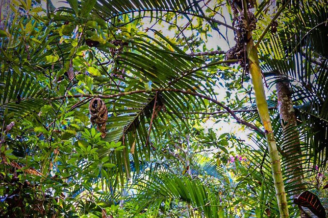 Private 4 hour Hiking Adventure + Breakfast in Nogalito Ecopark - Who Should Consider This Tour?