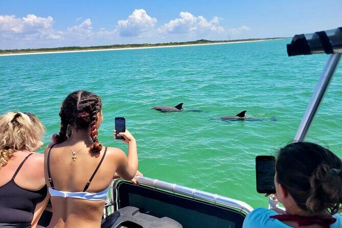 Private 4 Hour Shell Key Island Adventure Dolphins and Shells - Who Should Consider This Tour?