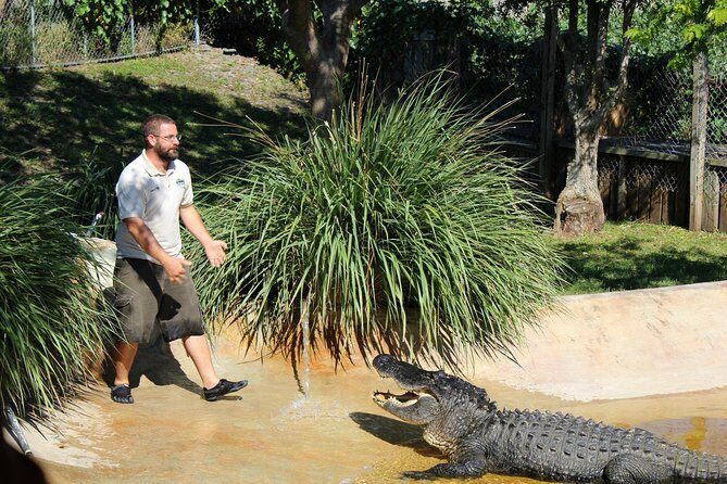 Private 4-hour Tour of Everglades from Miami Dade - A Closer Look at the Experience