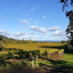 Private 5 day California Vineyards, Waves and Wine Tour - Day 2: Coastal Adventures and Nature Walks