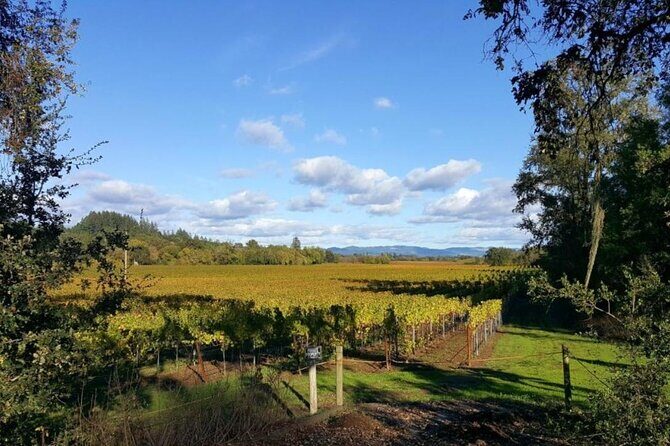 Private 5 day California Vineyards, Waves and Wine Tour - Day 2: Coastal Adventures and Nature Walks