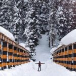 Private 5-Day Charming Kashmir Package Tour from Srinagar - Who Will Love This Tour