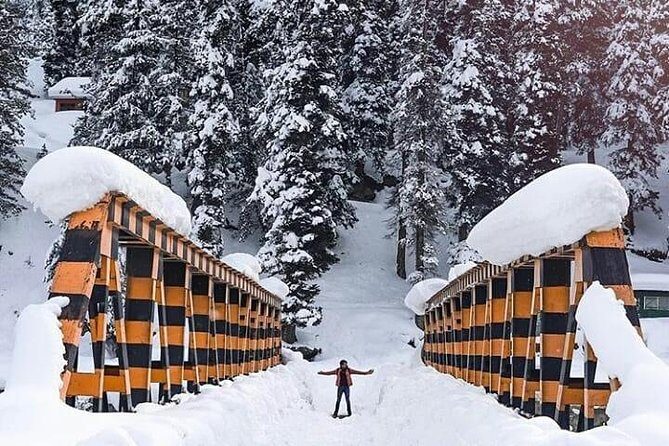 Private 5-Day Charming Kashmir Package Tour from Srinagar - Who Will Love This Tour