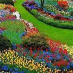 Private 5 Hour Tour of Butchart and Butterfly Gardens - The Sum Up: Is This Tour Right for You?