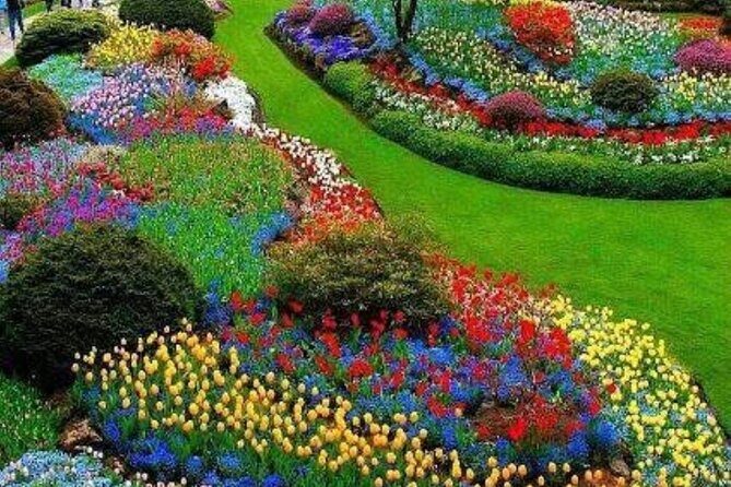 Private 5 Hour Tour of Butchart and Butterfly Gardens - The Sum Up: Is This Tour Right for You?