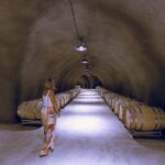 Private 5-Hour Transportation from Paso Robles or Atascadero - Who Will Love This Tour?