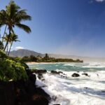 Private 5-hr Off-Road Trip on Oahus Wildlife-Rich North Shore - Exploring Oahu’s North Shore in Style and Comfort