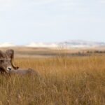 Private 6 Hours Badlands National Park E-Bike Activity - Who Should Consider This Tour?