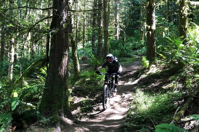 Private Adventure Mountain Biking in Seattle's Eastside - Final Thoughts
