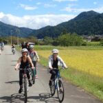 Private Afternoon Cycling Tour in Hida-Furukawa - How does this tour compare in value?