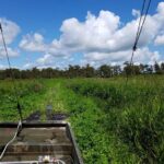 Private Airboat Swamp Tour - A Detailed Look at the Private Airboat Swamp Tour