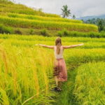 Private Airport Transfers by top trusted Drivers in Bali - Why Price and Value Matter