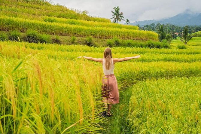 Private Airport Transfers by top trusted Drivers in Bali - Why Price and Value Matter