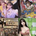 Private Akihabara Anime Game Maid Cafe Tour w/ free pickup - Authenticity, Value, and Real Reviews