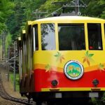 Private All Inclusive Family Tour to Takao Mountain with Prizes - A Deep Dive into the Mt. Takao Family Tour